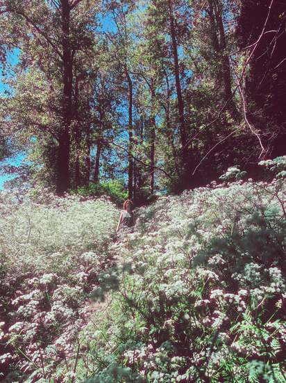 Meris standing in a hillside of white wildflowers